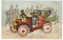 269 - Automobile- Chien à Lunettes - Thiele, Arthur