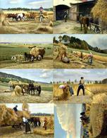 Landwirtschaft Lot Mit 10 Ansichtskarten I-II Paysans - Ausstellungen