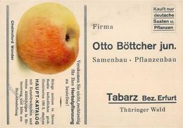 Landwirtschaft Tabarz (O5808) Samenbau Pflanzenbau Otto Böttcher  Werbe AK I-II Paysans - Ausstellungen
