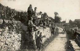 Wein Brent (1817) Schweiz Weinlese Foto AK I-II Vigne - Exposiciones