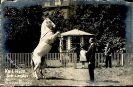 Zirkus Busch Schulreiter Karl Hess Foto AK I-II (abgestoßen) - Zirkus