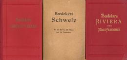 Buch Baedeker Reiseführer Lot Mit 10 Büchern II - Sonstige & Ohne Zuordnung