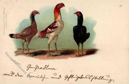 Huhn Malayen 1907 I-II - Andere & Zonder Classificatie