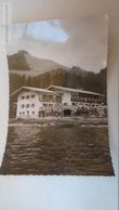 D166953 Bayern  Spitzingsee Willi Merkl Heim Spitzingsee PU 1958 - Schliersee