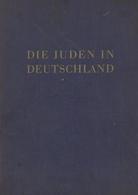 Judaika Buch Die Juden In Deutschland  Hrsg. Institut Zum Studium Der Judenfrage 1936 Zentralverlag Der NSDAP Franz Eher - Judaísmo