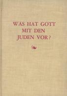 Judaika Buch Was Hat Gott Mit Den Juden Vor Wilkinson, John  Hrsg. H. L. ElliSon B. D. B. A. 161 Seiten I-II Judaisme - Judaísmo