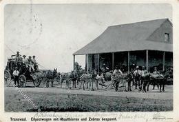 Buren Transvaal Eilpostwagen Maultiere Und Zebras 1900 II (Ecken Abgestoßen, Fleckig) - Historia