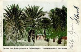 Deutsche Kolonien DSW - Garten Der SCHUTZTRUPPE In OTJIMBINGWE - Seepost-o 1905 I-II Colonies - Historia