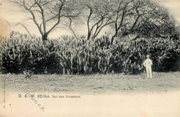 Kolonien Deutsch Südwestafrika Bei Den Ovambos 1907 I-II Colonies - History