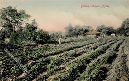 Kolonien Deutsch Südwestafrika Farm I-II Colonies - Storia