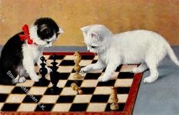 Schach Katzen  I-II Chat - Schaken