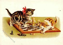 Schach Katzen Mit Autogramm Schmid, Lothar Schachschiedsrichter I-II Chat - Schach