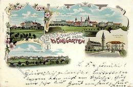 Berlin (1000) Städtische Anstalt Wuhlgarten Lithographie 1898 I-II - Sonstige & Ohne Zuordnung