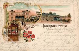 Hermsdorf (1000) Bahnhof Gasthaus Zum Bahnhof Eisenbahn Lithographie 1898 I- Chemin De Fer - Otros & Sin Clasificación
