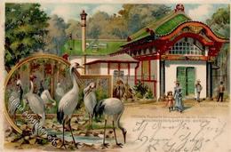 Tiergarten (1000) Zoologischer Garten Lithographie 1900 I-II - Otros & Sin Clasificación