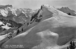 La Chaîne Des Alpes Depuis Le Chamossaire -  Villars-Gryon - Gryon