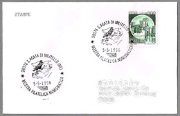 Exposicion Filatelica Numismatica - AVE - BIRD. S.Agata Di Militello, Messina, 1996 - Mechanical Postmarks (Advertisement)