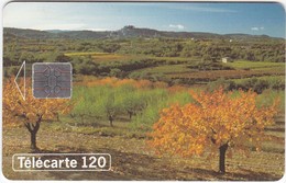 TC072 TÉLÉCARTE 120 - PAYSAGE ARBORÉ / VERGER / CHAMP - Paysages