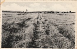 Hautes Fagnes, Baraque Michel - Jalhay