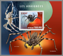 TOGO 2019 MNH Spiders Spinnen Araignees S/S - IMPERFORATED - DH1933 - Ragni