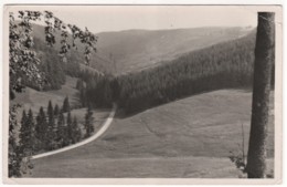 Schmiedefeld - S/w Blick Ins Vessertal - Schmiedefeld