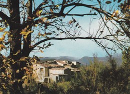 Cpm 10x15  (30) PALLIERE (247 H) Village Pittoresque Des Cévennes ( Près D' Anduze) - Sonstige & Ohne Zuordnung