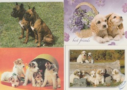 100  C P M  DE. CHIENS  DIVERS ( Voir Quelques  Modèles ) ( 19 / 8 / 491 ) - 100 - 499 Postcards