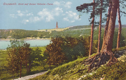 Grunewald (Berlin) * Blick Auf Kaiser Wilhelm Turm, Photochromie * Deutschland * AK203 - Grunewald