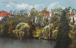 Grunewald (Berlin) * Königssee, Stadtteil, Photochromie * Deutschland * AK204 - Grunewald