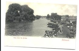 RICHMOND Surrey - View From The Bridge (1902) Buy It Now - Surrey