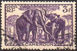 Cameroun Obl. N° 188 - Eléphants 3f Violet - Used Stamps