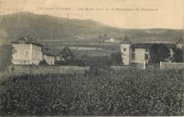 CHENAS - Les Michelons Et La Montagne De Raymont - En état - Chenas