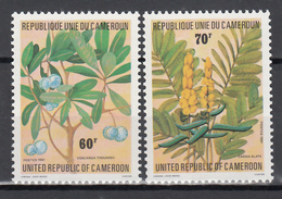 1981  Yvert Nº 679 / 680 MNH, Plantas Medicinales, Voacanga Thouarsii, Cassia Alata - Camerun (1960-...)