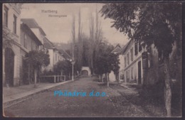 Hartberg, Herrengasse, Mailed 1917 - Hartberg