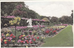 Postcard Rose Garden Royal Hall Gardens Harrogate My Ref  B13574 - Harrogate