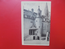 FLORENNES :LE CHÂTEAU (F197) - Florennes