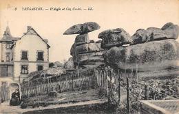 Trégastel           22          L'Aigle Et Le Coz Castel       (voir Scan) - Trégastel