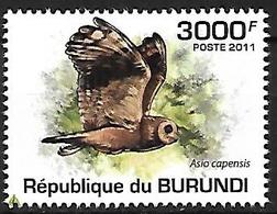 BURUNDI - MNH - 2011 -  Marsh Owl    Asio Capensis - Hiboux & Chouettes