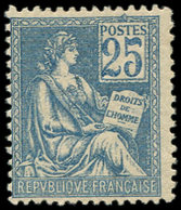 ** EMISSIONS DU XXème SIECLE - 114   Mouchon, 25c. Bleu, Décentré, TB - Unused Stamps