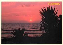 Etats-Unis - Florida - Sarasota - Sunset Over The Gulf Of Mexico - Semi Moderne Grand Format - Bon état - Sarasota