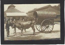 CPA Indochine Carte Photo RPPC Non Circulé - Vietnam