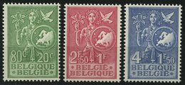 BELGIEN 976-78 **, 1953, Büro Der Europäischen Jugend, Prachtsatz, Mi. 65.- - Sonstige & Ohne Zuordnung