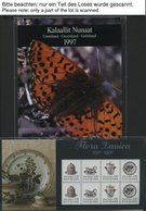 SAMMLUNGEN, LOTS **, Restpartie Mit Besonderheiten, Meist Färöer Und Grönland, Ab Ca. 1990, U.a. Mit Markenheftchen, Jah - Otros & Sin Clasificación