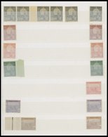 TUNESIEN **,* , 1906-45, Interessante Partie Mit Einigen Mittleren Ausgaben Und Vielen Blockstücken, Meist Postfrisch, F - Unused Stamps