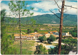 Bedoin (Vaucluse) - La Maison Familiale Des Florans. Piscine. En Arrière Plan, Le Mont Ventoux - Pernes Les Fontaines