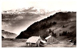 Delcampe - Gex - Col De La Faucille - Gex