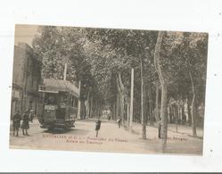 RIVESALTES (P O) PROMENADE DES PLATANES (TRAMWAY BEAU PLAN) - Rivesaltes