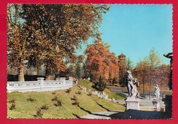 CARTOLINA VG ITALIA - TORINO - Parco Del Valentino - Scorcio - 10 X 15 - 1958 - Parken & Tuinen