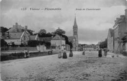 86-PLEUMARTIN- ROUTE DE CHATELLERAULT - Pleumartin