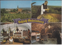 Schloss GOBELSBURG Bei LANGENLOIS, Weingut Des Stift Zwettl  Weinschenke Weinkeller   1970 - 1980 - Langenlois